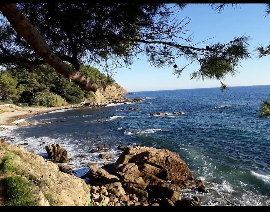 Apartment Superbe Appartement Neuf Aucalme Saint-Mandrier-sur-Mer France